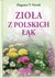 Książka ePub ZioÅ‚a z polskich Å‚Ä…k - Nowak Zbigniew T.