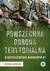 Książka ePub Powszechna Obrona Terytorialna w bezpieczeÅ„stwie narodowym RP - Ryszard Jakubczak