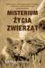 Książka ePub Misterium Å¼ycia zwierzÄ…t w.2 - Brensing Karsten