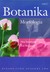 Książka ePub Morfologia botanika Tom 1 - brak