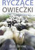 Książka ePub RyczÄ…ce owieczki - Briner Bob