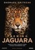 Książka ePub Trening Jaguara Dagmara Gmitrzak ! - Dagmara Gmitrzak