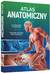 Książka ePub Atlas anatomiczny - Justyna Mazurek, Anna Mazurek