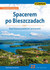 Książka ePub Spacerem po Bieszczadach StanisÅ‚aw OrÅ‚owski - zakÅ‚adka do ksiÄ…Å¼ek gratis!! - StanisÅ‚aw OrÅ‚owski