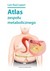 Książka ePub Atlas zespoÅ‚u metabolicznego - Lis Raul Lepori