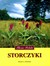 Książka ePub Flora Polski. Storczyki - Dariusz L. Szlachetko