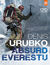 Książka ePub Absurd Everestu - Denis Urubko