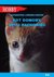 Książka ePub Kot domowy czyli dachowiec - Lorens-Padzik Katarzyna
