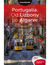 Książka ePub Portugalia. Od Lizbony po Algarve. Travelbook. Wydanie 2 - Anna PamuÅ‚a