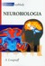 Książka ePub KrÃ³tkie wykÅ‚ady Neurobiologia - brak