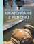 Książka ePub Uratowane z potopu - Marcin Jamkowski, Hubert Kowalski