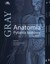 Książka ePub Anatomia Gray Pytania testowe Tom 1-3 - brak