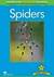 Książka ePub Factual: Spiders 4+ - Llewellyn Claire