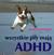 Książka ePub Wszystkie psy majÄ… ADHD - Kathy Hoopmann