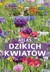 Książka ePub Atlas dzikich kwiatÃ³w MaÅ‚gorzata Mederska ! - MaÅ‚gorzata Mederska
