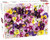 Książka ePub Puzzle Summery Flowers 1000 - brak