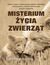 Książka ePub Misterium Å¼ycia zwierzÄ…t - Karsten Brensing