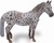 Książka ePub Klacz British Spotted Pony maÅ›ci kasztan Leopard XL - COLLECTA
