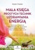 Książka ePub MaÅ‚a ksiÄ™ga prostych technik uzdrawiania energiÄ… Karen Frazier ! - Karen Frazier
