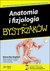 Książka ePub Anatomia i fizjologia dla bystrzakÃ³w - Donna Rae Siegfried
