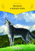 Książka ePub Marzenie o wilczym krÃ³lu | - Shixi Shen