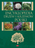 Książka ePub Encyklopedia drzew i krzewÃ³w - Opracowanie Zbiorowe