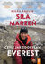 Książka ePub SiÅ‚a marzeÅ„, czyli jak zdobyÅ‚am Everest - RAULIN MIÅKA
