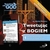 Książka ePub TweetujÄ…c z bogiem. tom 1 wielki wybuch, biblia, wyprawy krzyÅ¼owe, czyÅ›ciec... | - Remery ks. Michel
