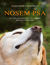 Książka ePub Nosem psa. Wycieczka do fascynujÄ…cego Å›wiata zapachÃ³w - Alexandra Horowitz
