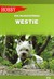 Książka ePub Westie. West highland white terrier (wyd. 2) - Eva BÅ‚aszczyÅ„ska [KSIÄ„Å»KA] - Eva BÅ‚aszczyÅ„ska