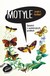 Książka ePub Motyle Joseph H. Reichholf ! - Joseph H. Reichholf