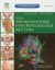 Książka ePub Atlas neuroanatomii i neurofizjologii Nettera w.II - brak