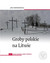 Książka ePub Groby polskie na Litwie T.1 Rejon wileÅ„ski cz.1 | - Sienkiewicz Jan
