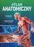 Książka ePub Atlas anatomiczny - Joanna Mazurek