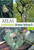 Książka ePub Atlas uszkodzeÅ„ drzew leÅ›nych - Hartmann GÃ¼nter, Nienhaus Franz, Butin Heinz