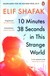 Książka ePub 10 Minutes 38 Seconds in this Strange World | - Shafak Elif