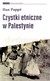 Książka ePub Czystki etniczne w Palestynie - Ilan Pappe [KSIÄ„Å»KA] - Ilan PappÃ©