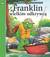 Książka ePub Franklin wielkim odkrywcÄ… - Paulette Bourgeois, Brenda Clark