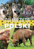 Książka ePub ZwierzÄ™ta Polski - brak