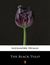 Książka ePub The Black Tulip - Alexandre Dumas