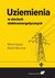 Książka ePub Uziemienia w sieciach elektroenergetycznych | - HOPPEL WITOLD, Marciniak Robert