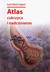 Książka ePub Atlas cukrzyca i nadciÅ›nienie - Lepori Luis Raul