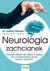 Książka ePub Neurologia zachcianek - Brewer Judson