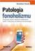 Książka ePub Patologia fonoholizmu Przyczyny, skutki i leczenie - Kozak StanisÅ‚aw