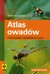 Książka ePub Atlas owadÃ³w wyd. 2 - brak