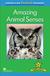 Książka ePub Factual: Amazing Animal Sense 2+ - Claire Llewellyn