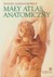 Książka ePub MaÅ‚y atlas anatomiczny - brak