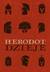 Książka ePub Dzieje Herodot - Herodot