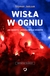 Książka ePub WisÅ‚a w ogniu - Szymon Jadczak