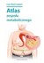 Książka ePub Atlas zespoÅ‚u metabolicznego Luis Raul Lepori ! - Luis Raul Lepori